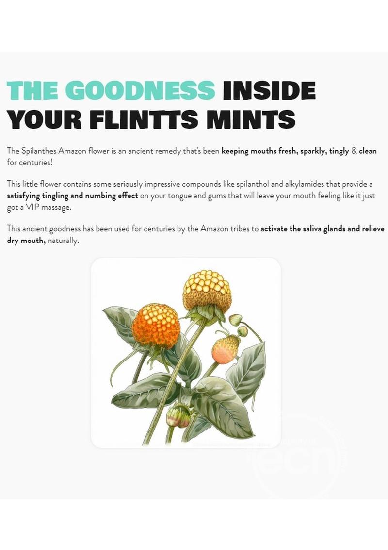 Flintts Mouth Watering Mints